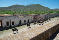 Huérfanos de Guita Schyfter