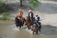 Huérfanos de Guita Schyfter