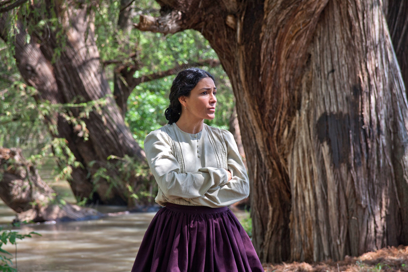 Hu&eacute;rfanos de Guita Schyfter